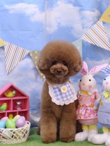 20240309こじろうくん